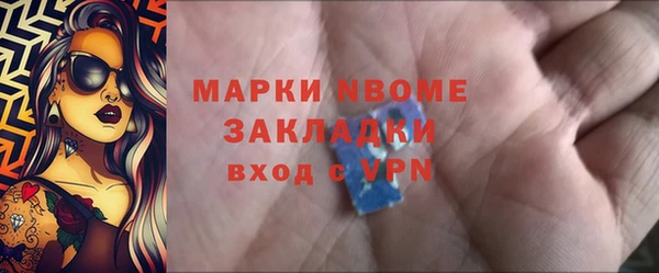 шишки Алексин