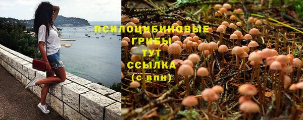 дживик Абинск