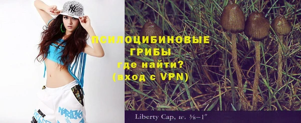 spice Алексеевка